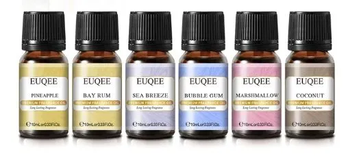 6pc Set of Holiday Delight Fragrance Oil for Candle Making 10ml Resin Art Hub Earrings