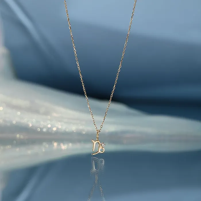 AURELIE GI Charm Necklaces CAPRICORN Zodiac Charm With Diamond
