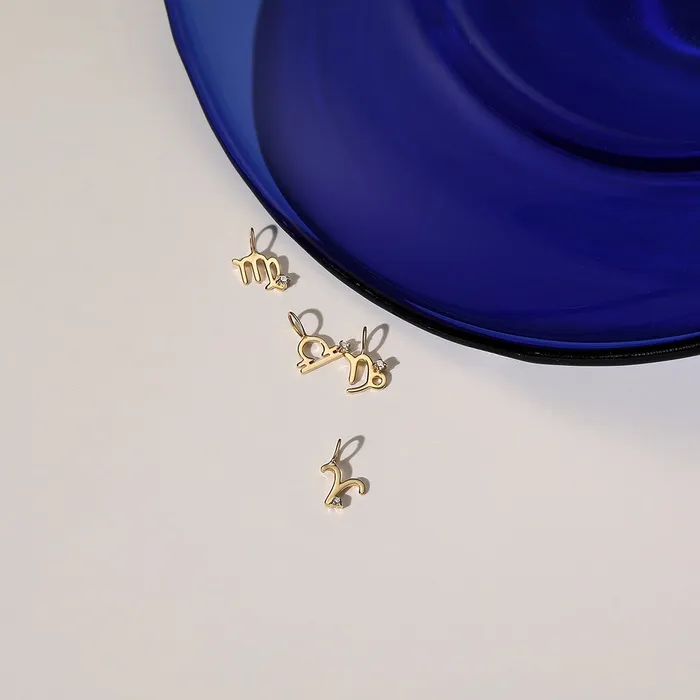 AURELIE GI Charm Necklaces CAPRICORN Zodiac Charm With Diamond