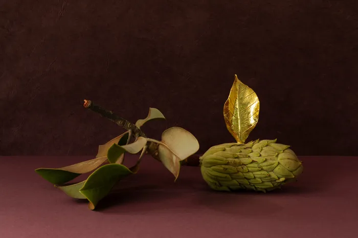 Botanicals Petals of Grace Earrings tohum Earrings