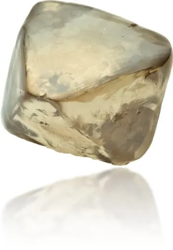 Earrings Natural Brown Diamond Rough 264 ct Rough Langerman Diamonds