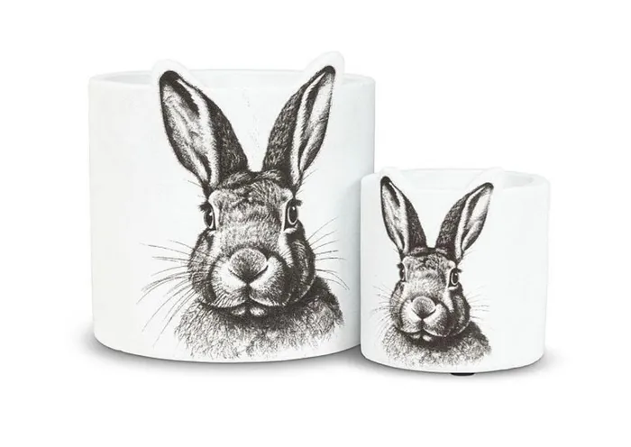 Earrings XSmall Bunny Sketch Planter Pot Abbott