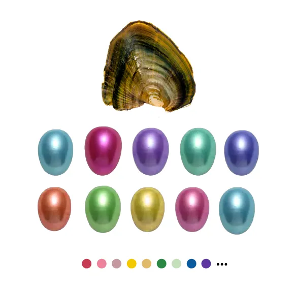 Earrings YR01SM1 Freshwater Oyster Rice Shaped Pearls