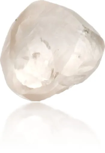 Natural Pink Diamond Rough 144 ct Rough Langerman Diamonds Earrings