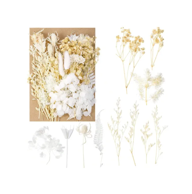 Necklaces RESIN ART HUB Dried Flower With Stem for Resin and Candle Making