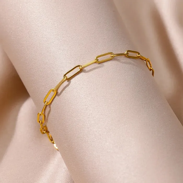 Paperclip Anklet Get Signatured Earrings