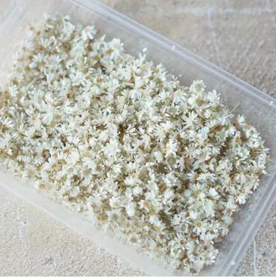 Rings RESIN ART HUB Mini White Dried Flowers for Resin Art