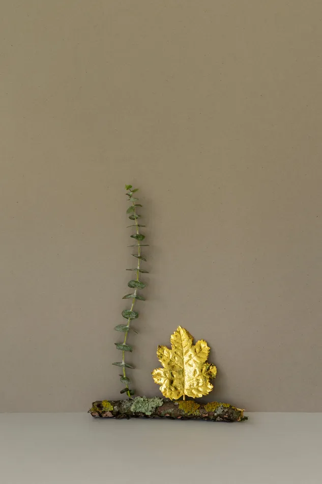 tohum Earrings Botanicals Amber Breeze Earrings