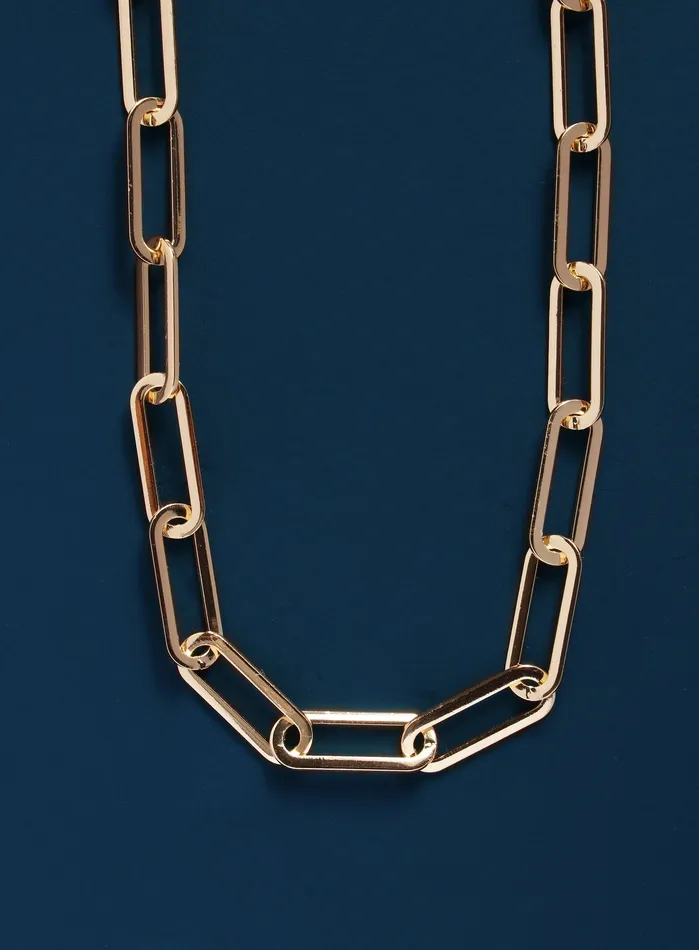 WE ARE ALL SMITH Mens Jewelry Clothing Necklaces Large Clip 14k plated over 316L stainless steel chain